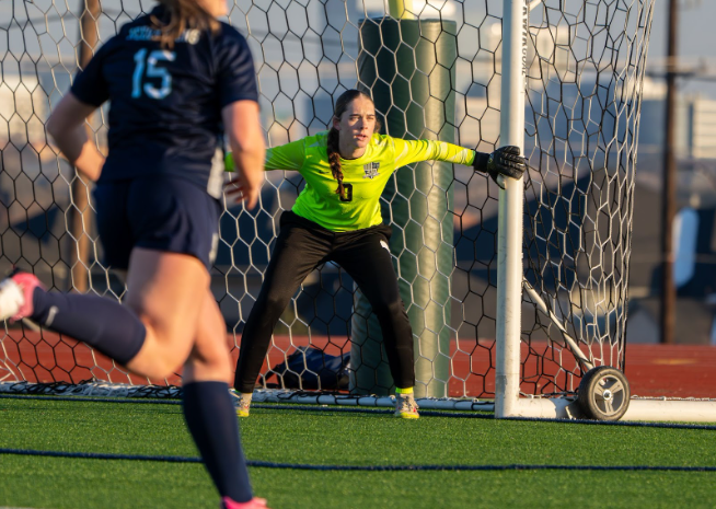 This is Hayden Thaggard in the net vs the Colony.